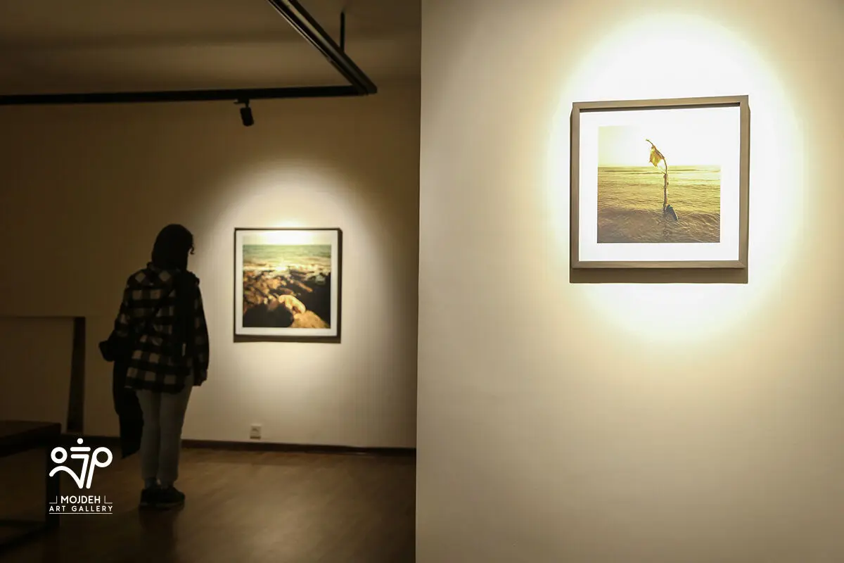 نمایشگاه انفرادی عکس‌های بابک حقی با همکاری گالری آ «بوطیقای آب» / 