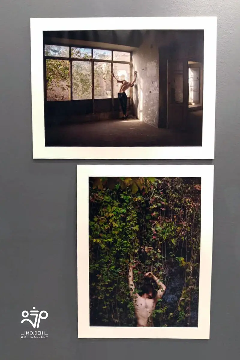 آرت فر هند / India Art Fair
