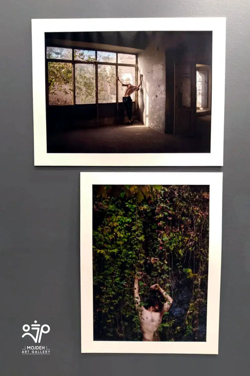 آرت فر هند / India Art Fair