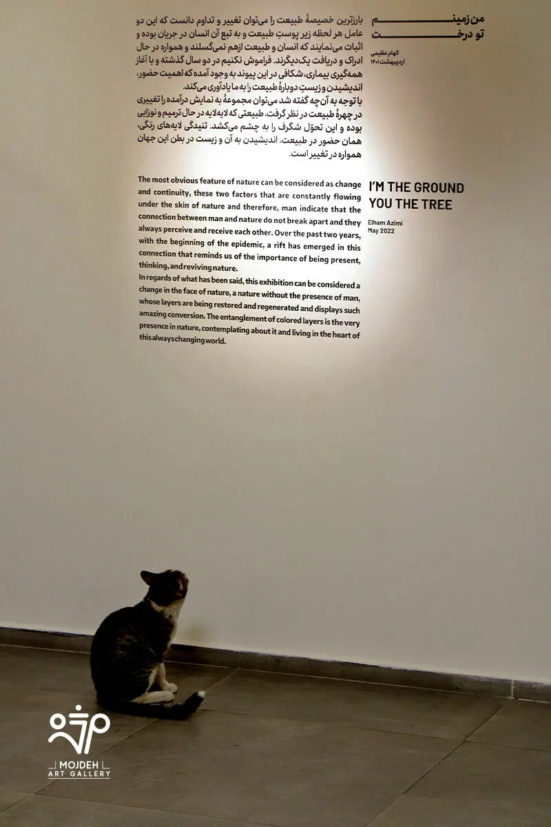 نمایشگاه نقاشی‌های الهام عظیمی /  Elham Azimi’s Painting Exhibition