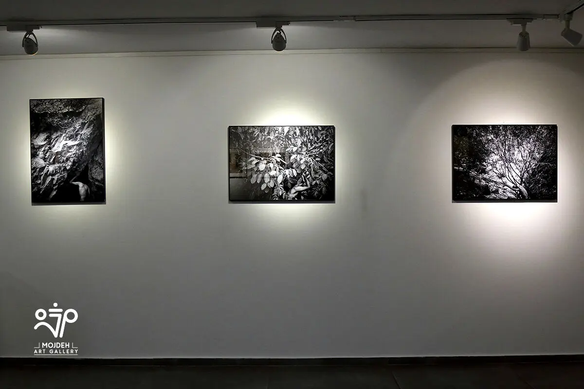 نمایشگاه عکس های بابک حقی با عنوان میان لحظه و خاک / Babak Haghi’s Photo Exhibition Titled Between Moment and Soil 